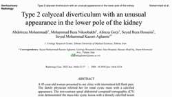 Type 2 calyceal diverticulum with an unusual appearance in the lower pole of the kidney